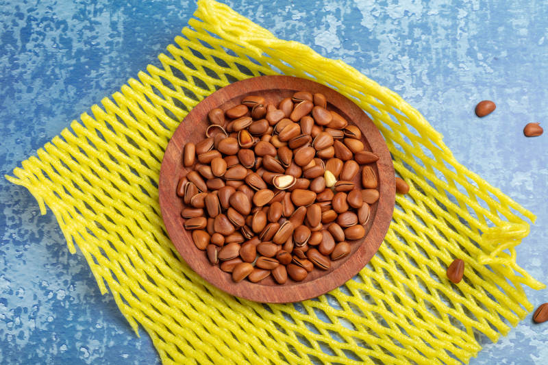 松子盘中静置图片