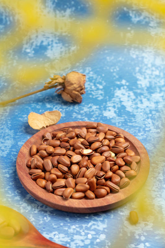 松子静物图图片