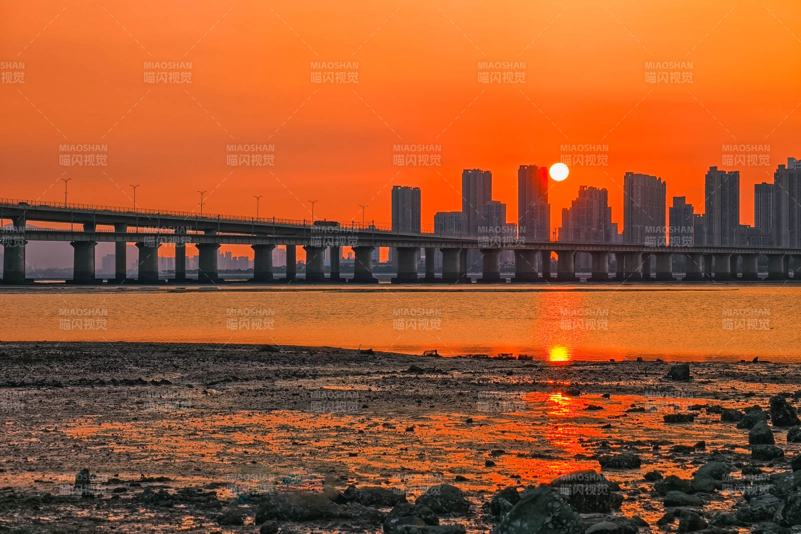 夕阳下的城市剪影（厦门）图片