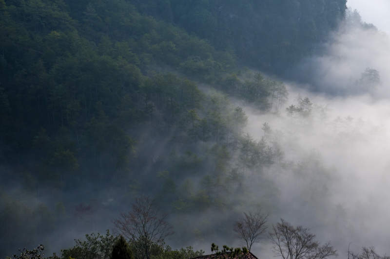 雾锁青山 林海朦胧武夷山图片