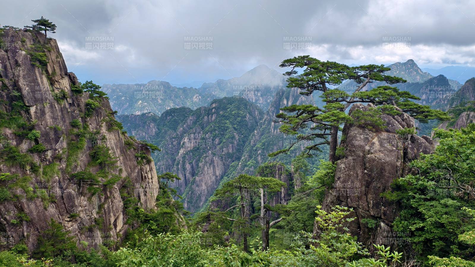 黄山奇松云海图片