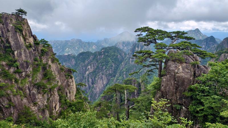 黄山奇松云海图片