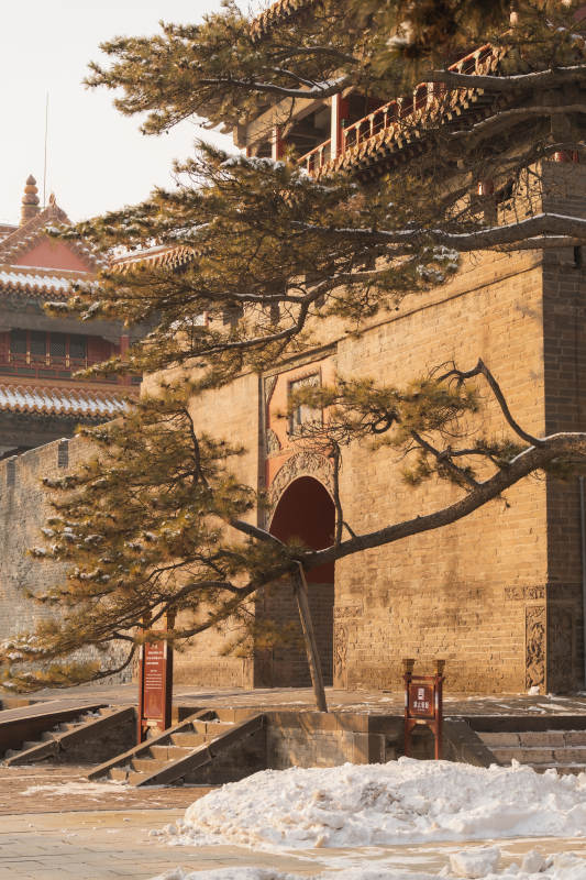 雪后古墙松影图片