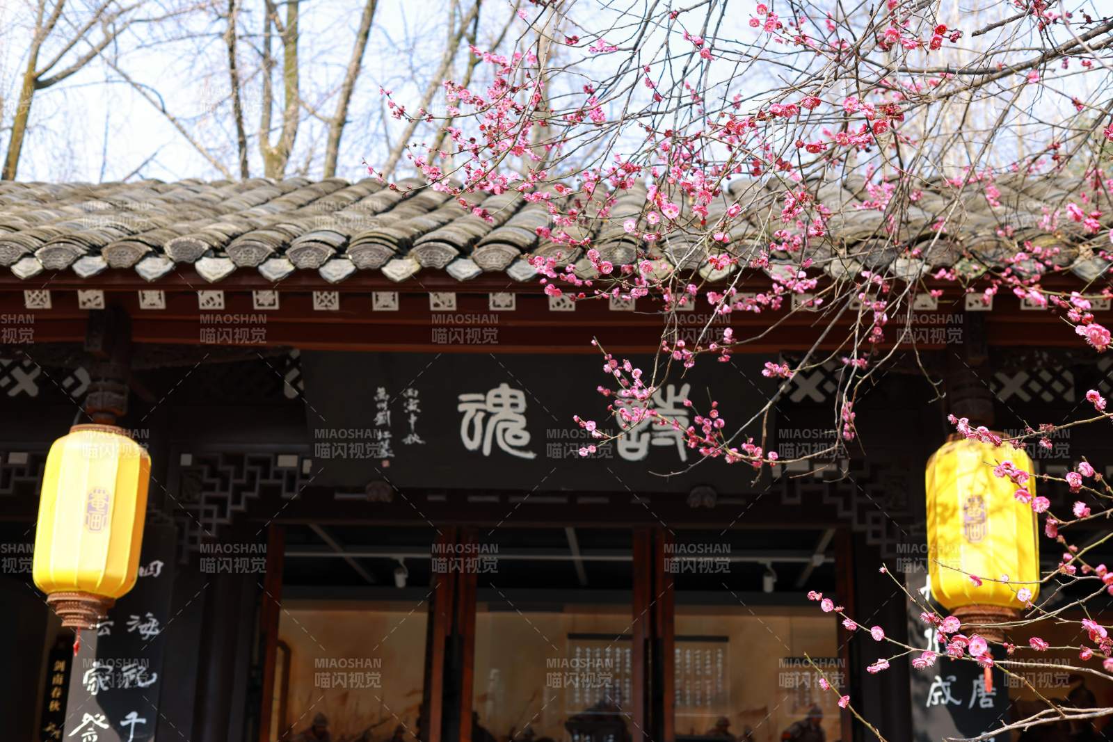 崇州罨画池里的陆游祠的梅花图片