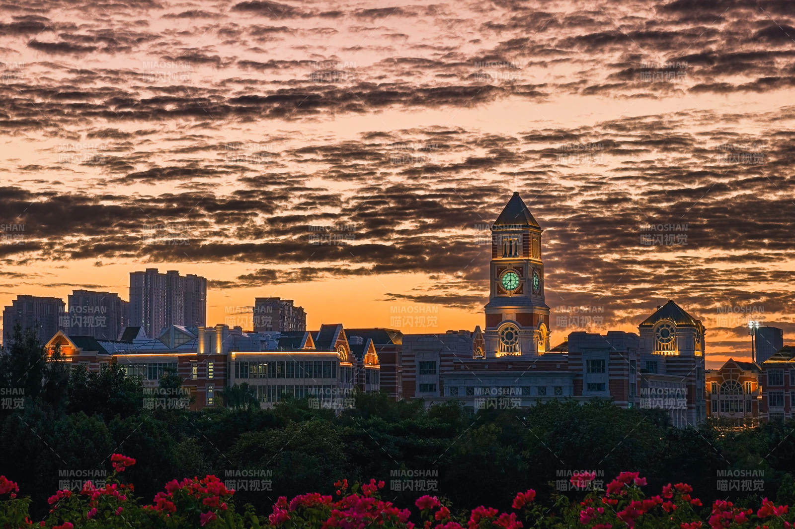 钟楼晚霞映城景（厦门）图片