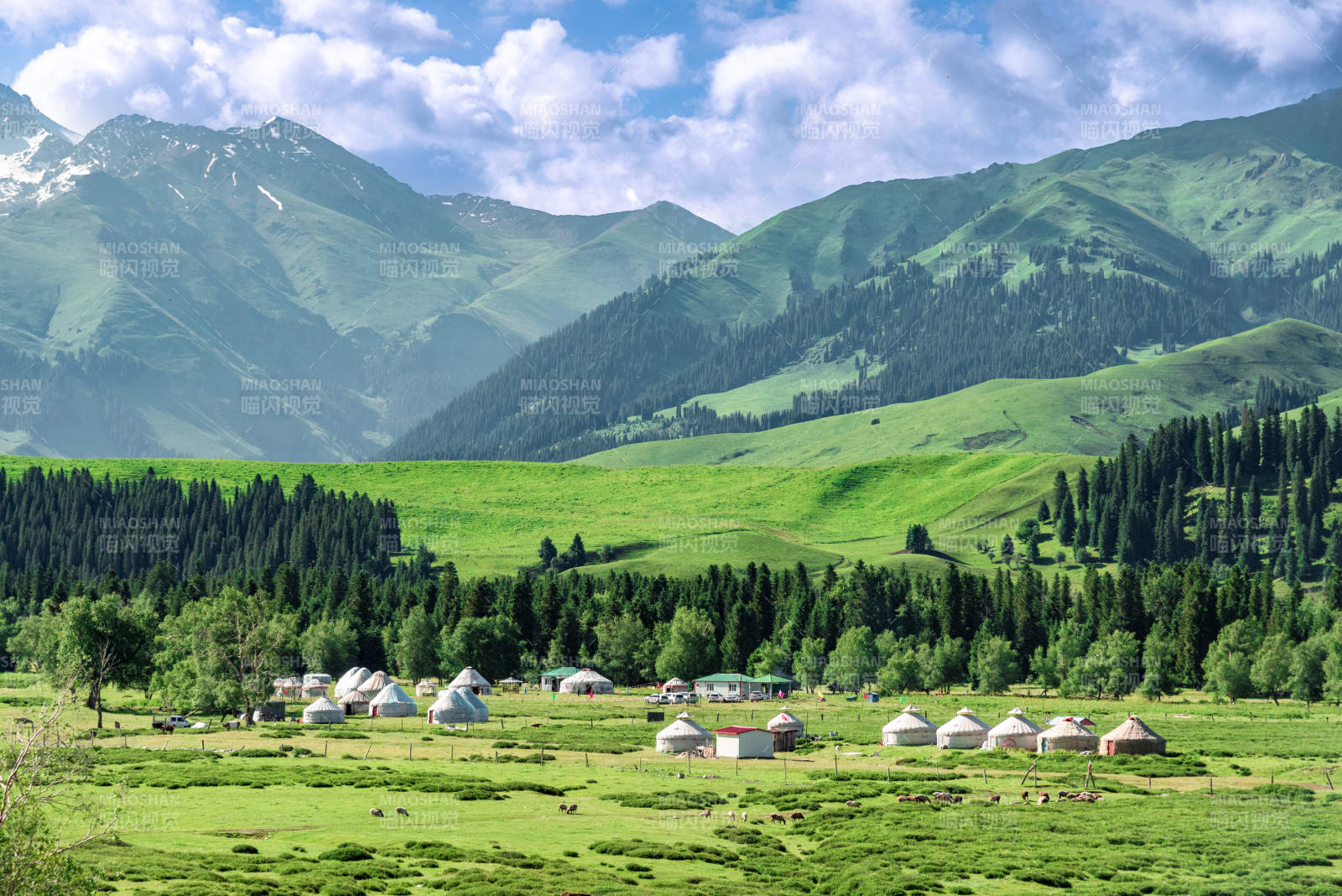 新疆百里画廊草原毡房山景图片
