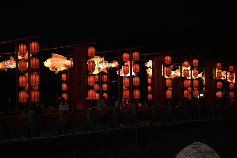 云龙桥夜灯映鱼影图片