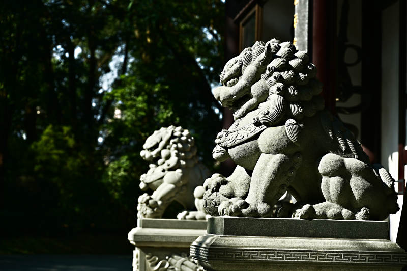 深圳般若禅寺门前的石狮特写图片