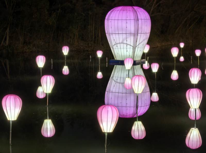 户外灯会粉色郁金香艺术灯笼群图片