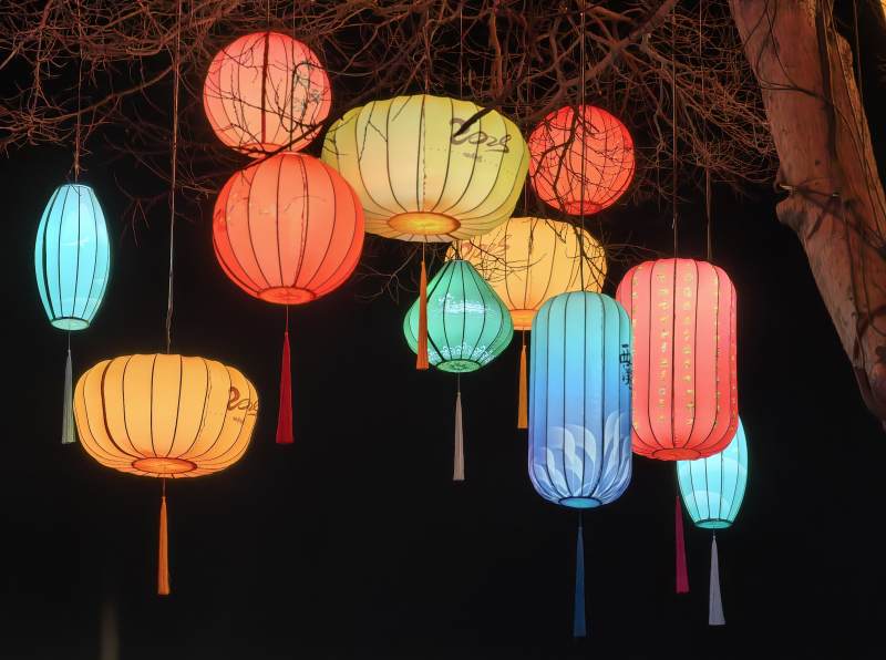 杭州西溪湿地非遗彩灯笼夜景图片