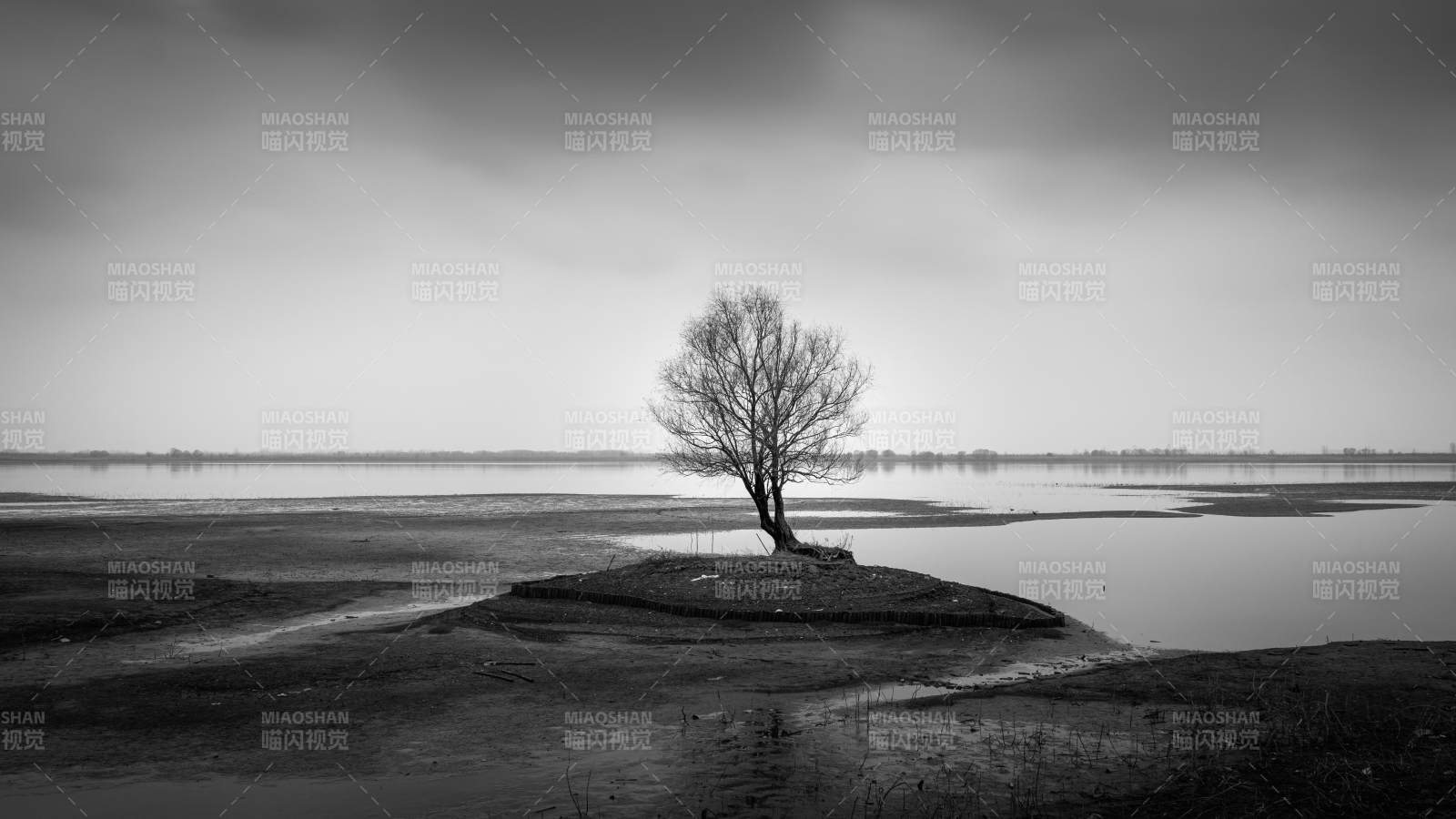 孤树临水芜湖市外龙窝湖图片
