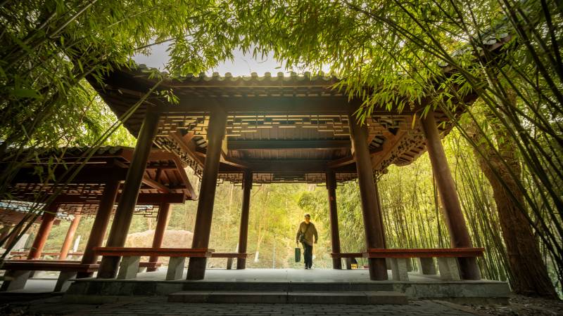 竹林亭中人影芜湖市赭山公园图片