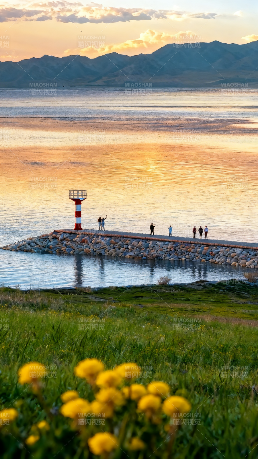 湖畔夕阳花影图片