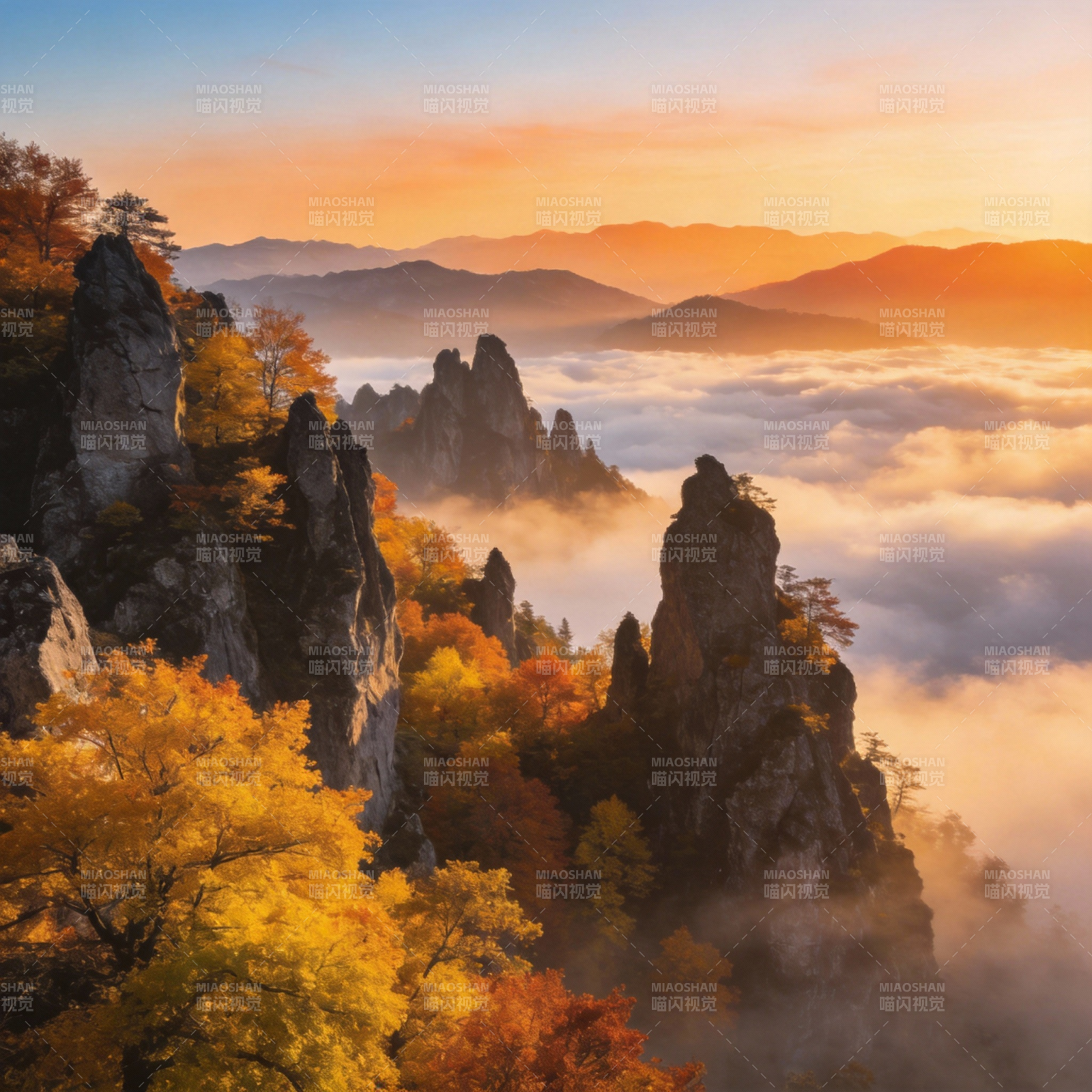 秋山云海日出图片