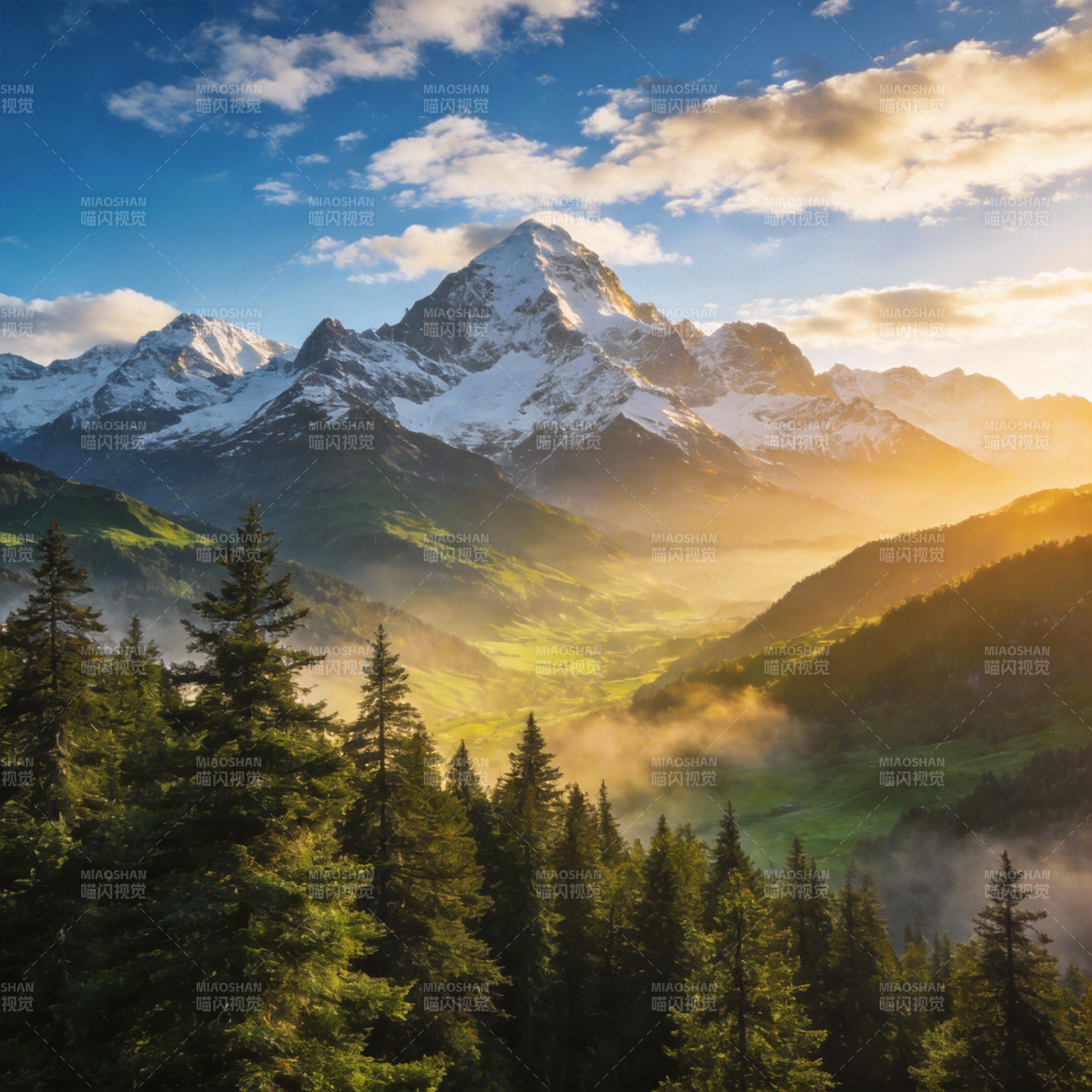 雪山晨曦 松林静谧图片