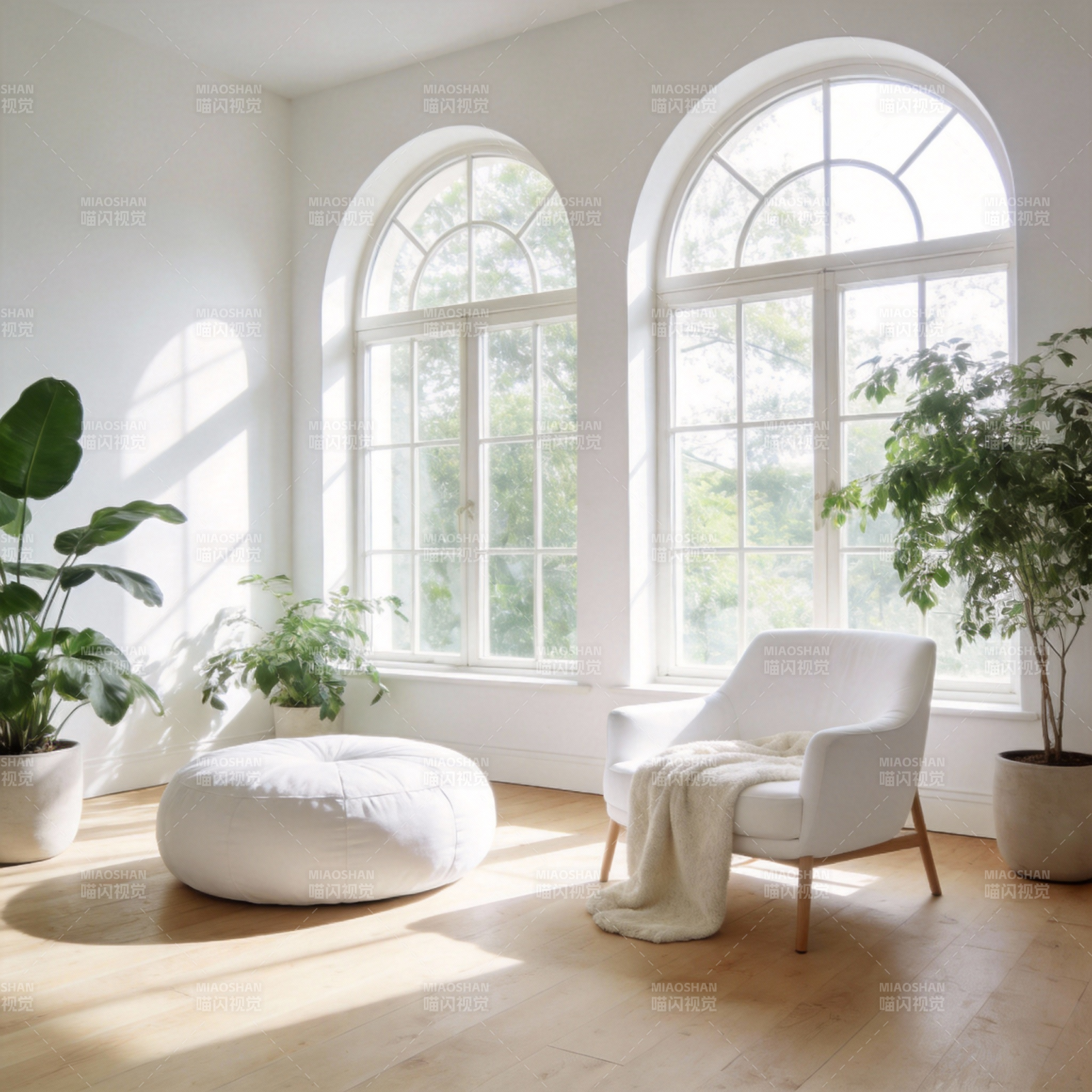 明亮客厅绿植相伴图片