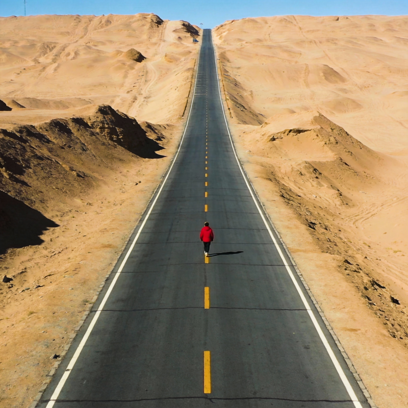 沙漠公路行者图片