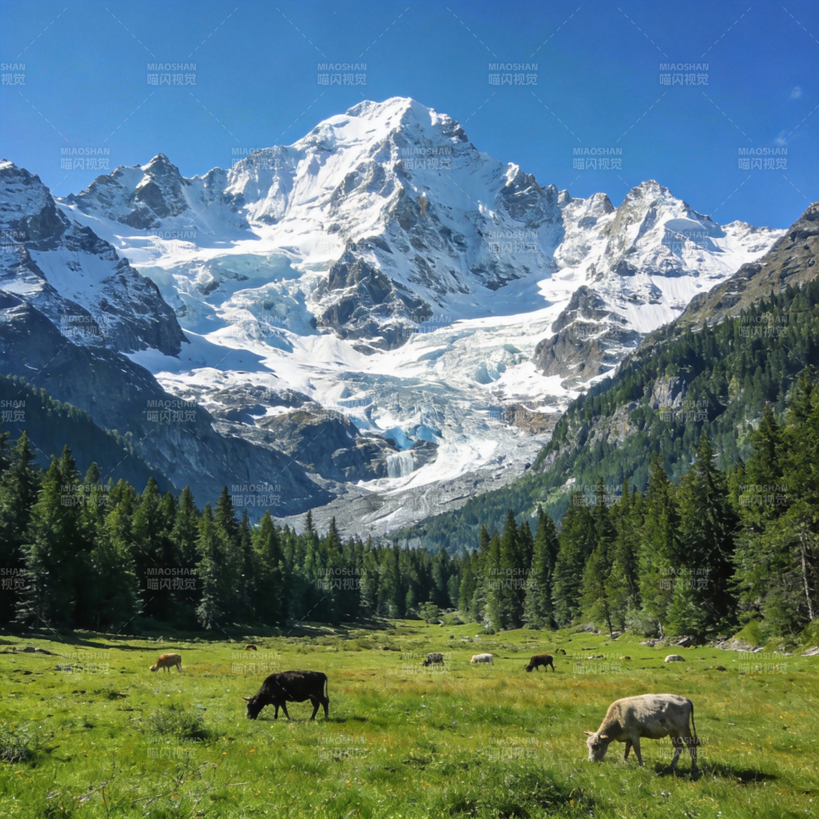 雪山下的牧场风光图片