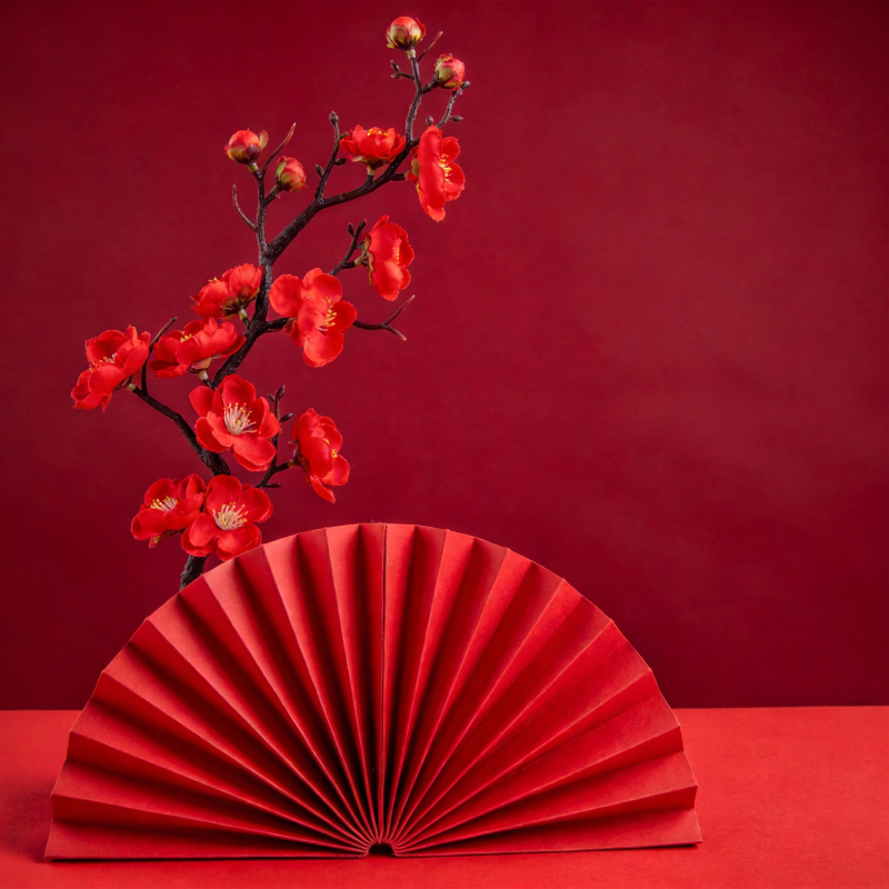 红梅扇影图片