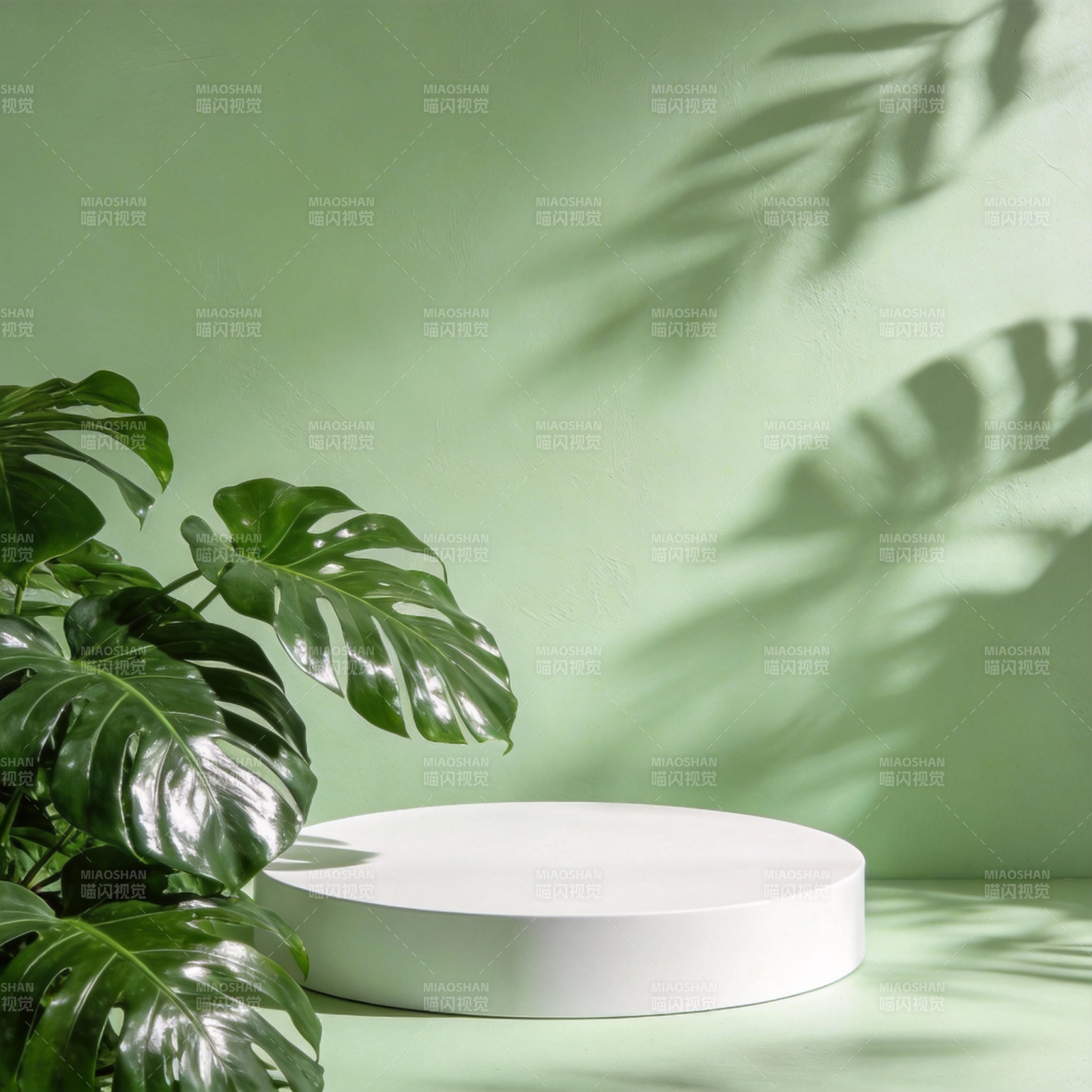 绿意盎然的展示台图片