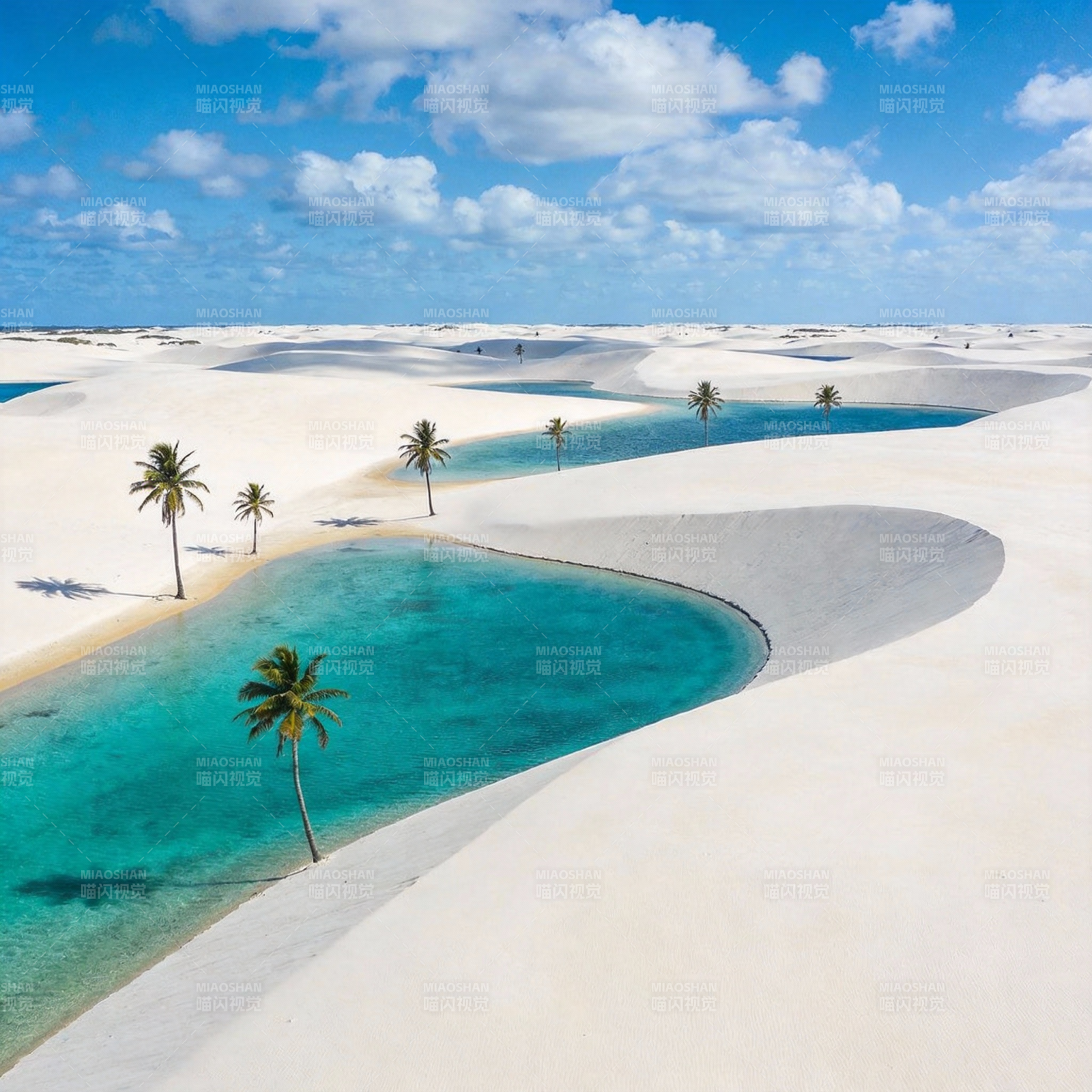 白沙碧水椰影图片