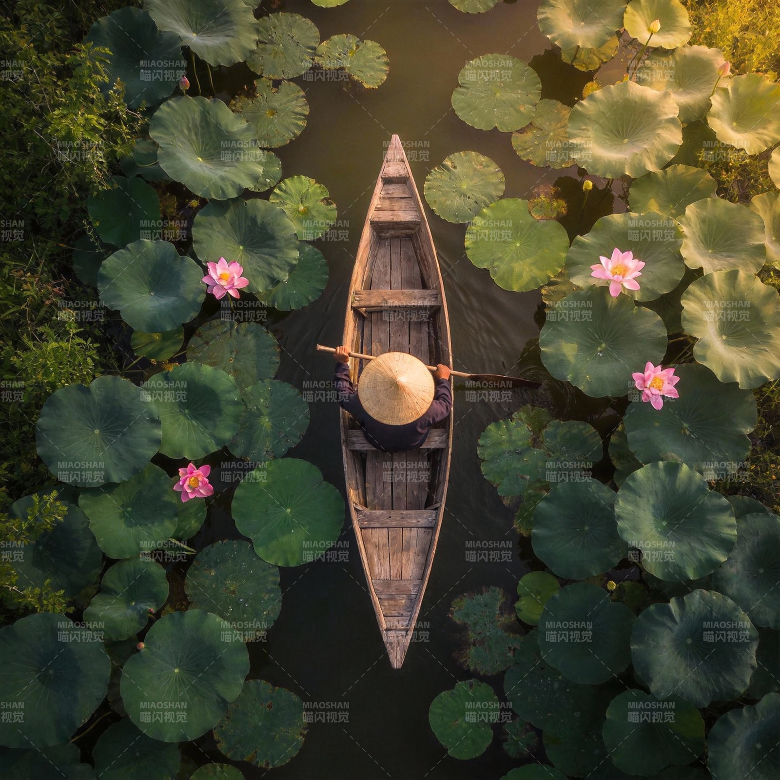 荷塘行舟图片