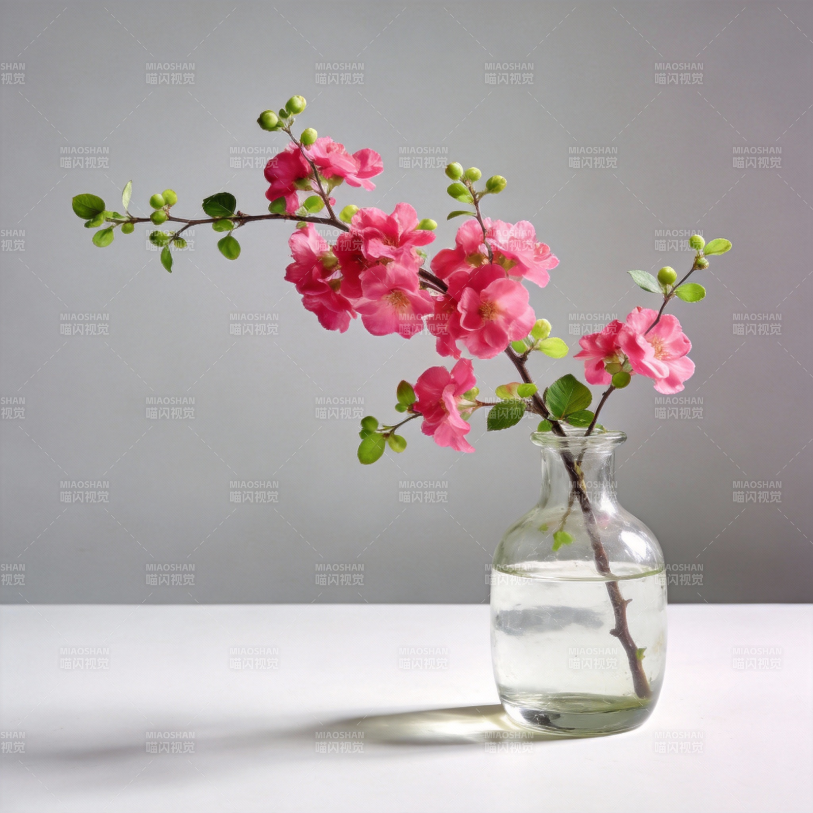 粉花清瓶静谧美图片