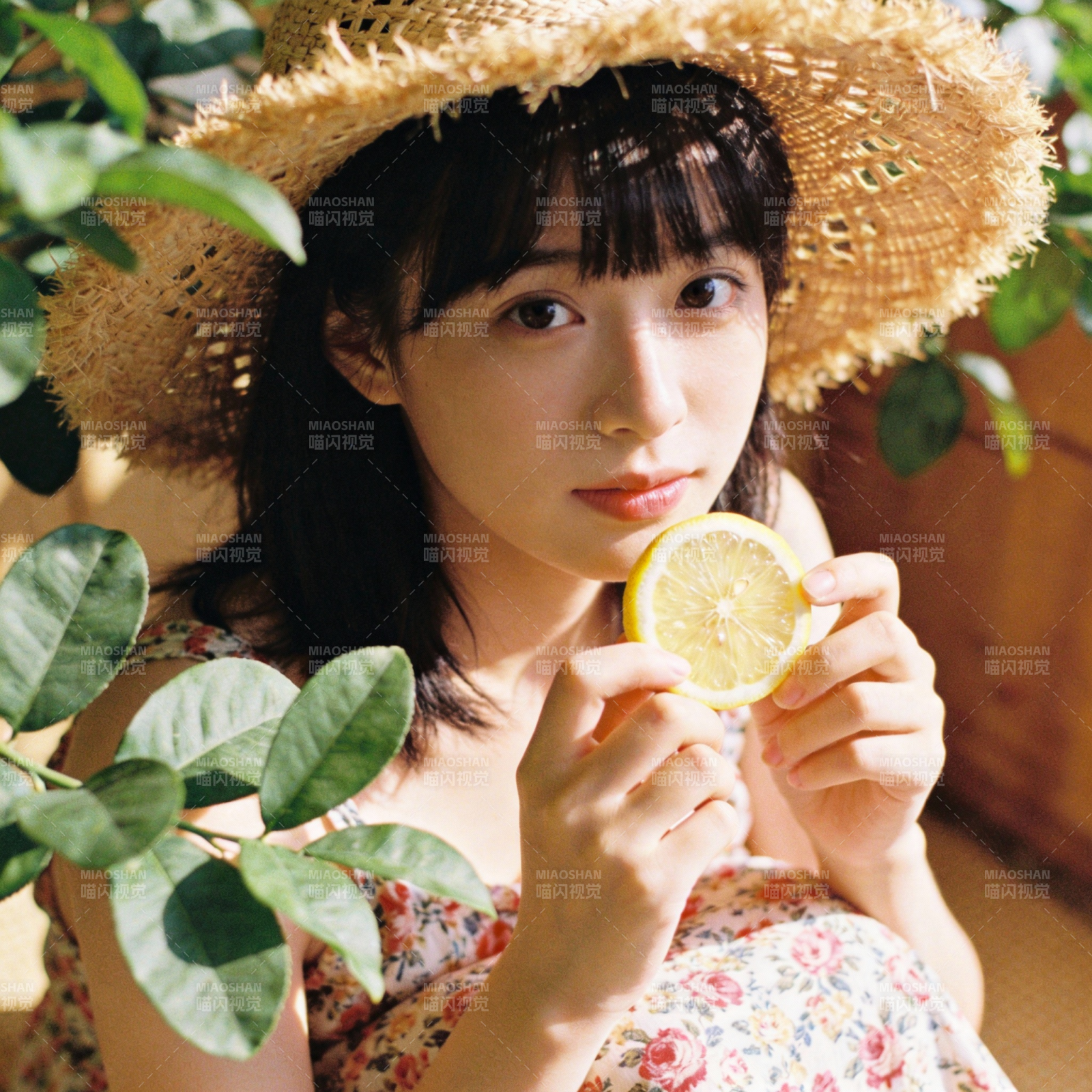 柠檬少女夏日时光图片