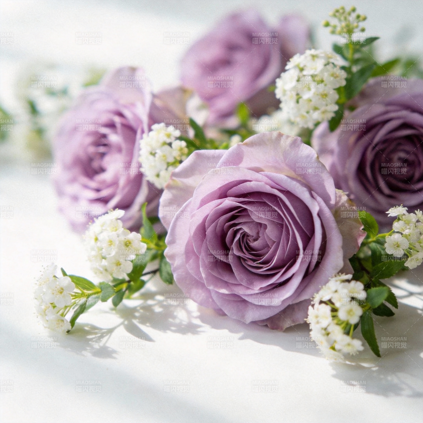 紫玫瑰与小白花图片