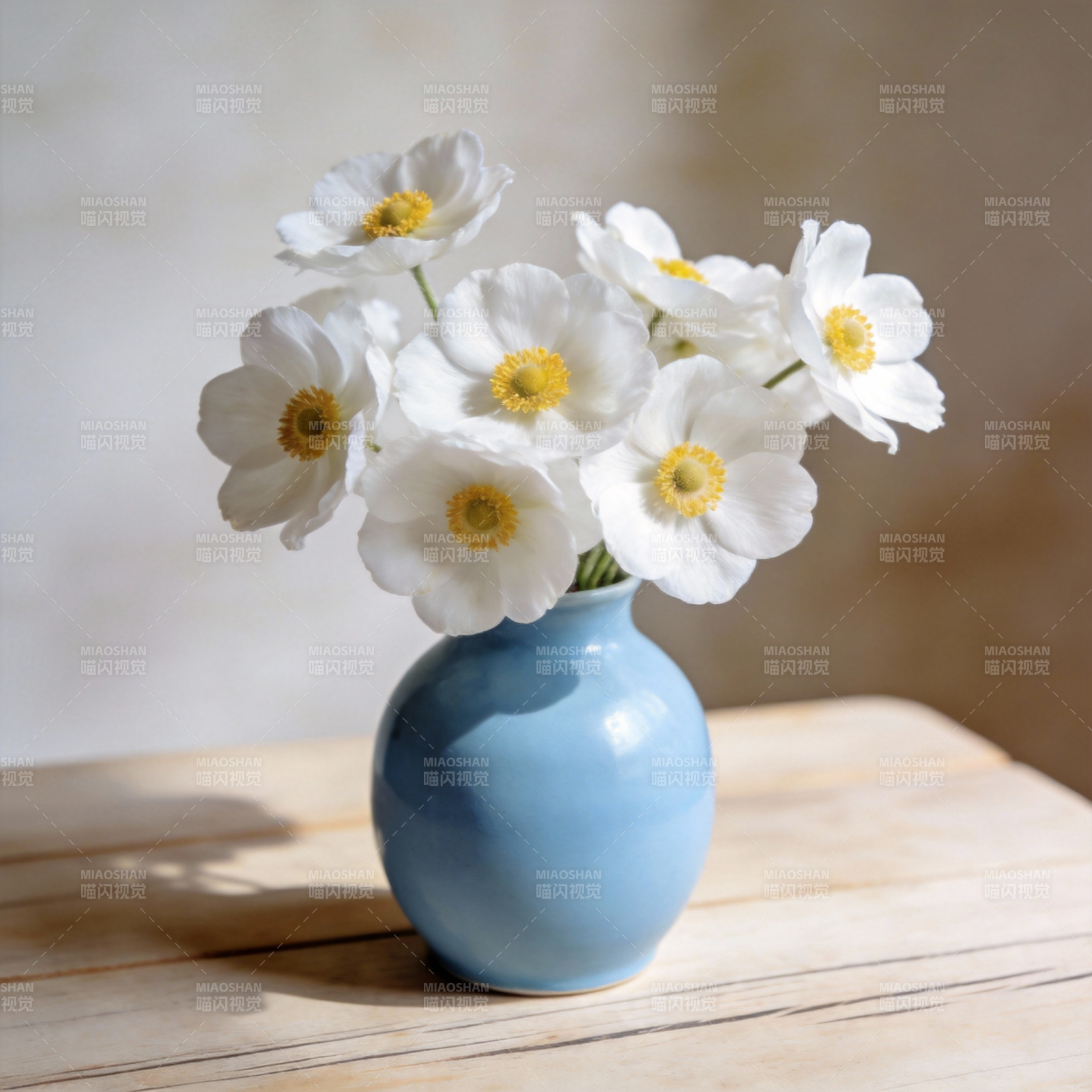 白花蓝瓶静谧美图片