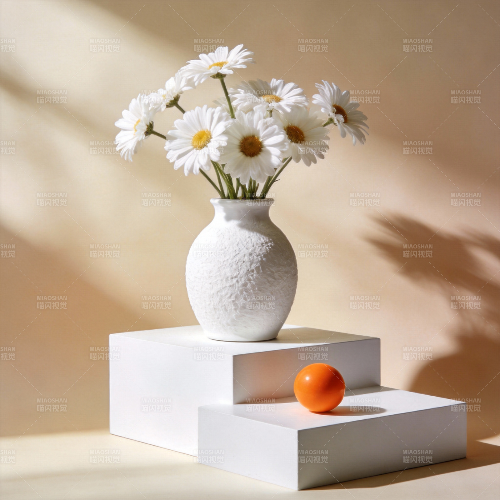 白菊橙球静物图片