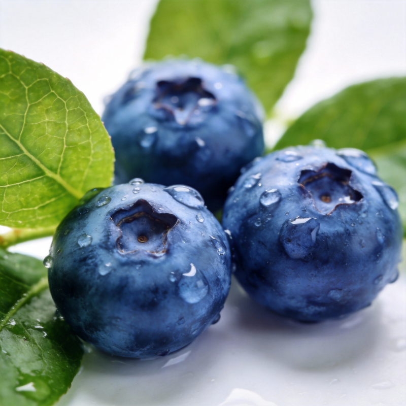 晶莹蓝莓鲜嫩欲滴图片