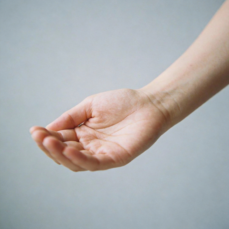 伸出手掌图片