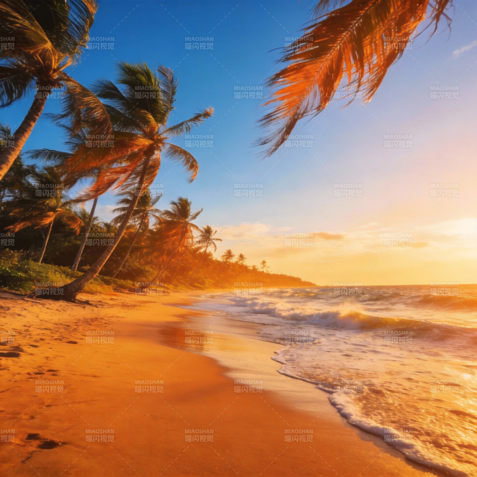 椰风海韵夕阳美图片