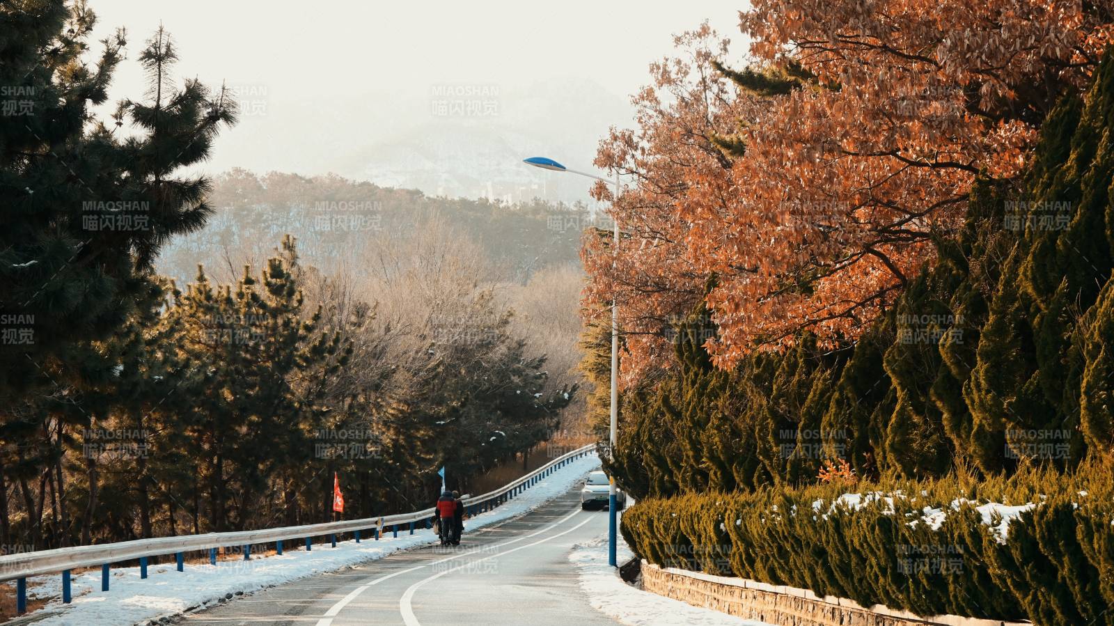秋日林间小道图片