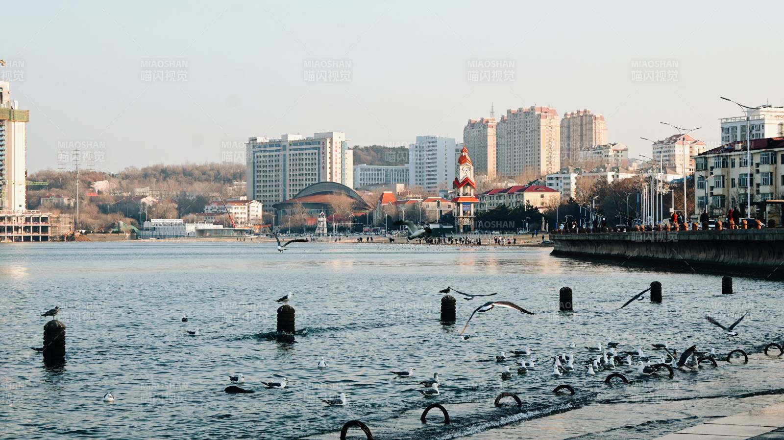 烟台海滨城市风光图片