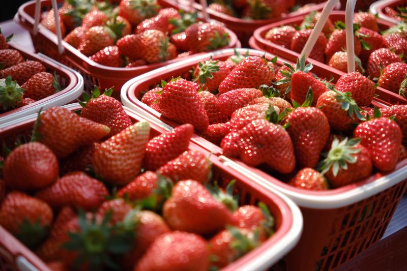 鲜红草莓满篮香图片