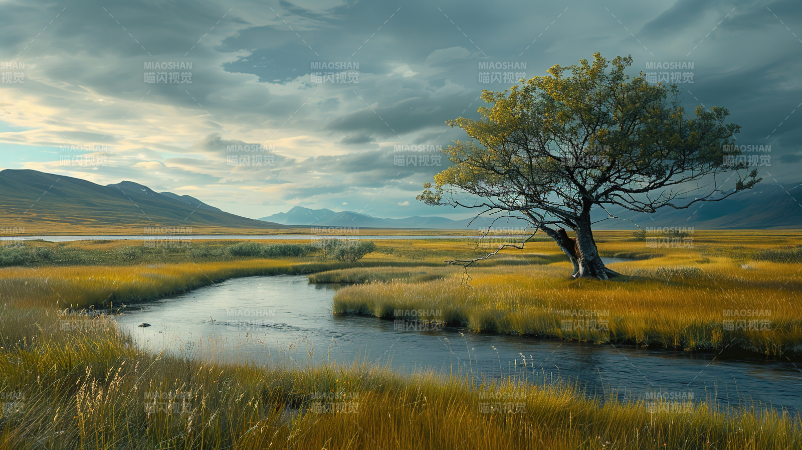 孤树映水 秋野静谧图片