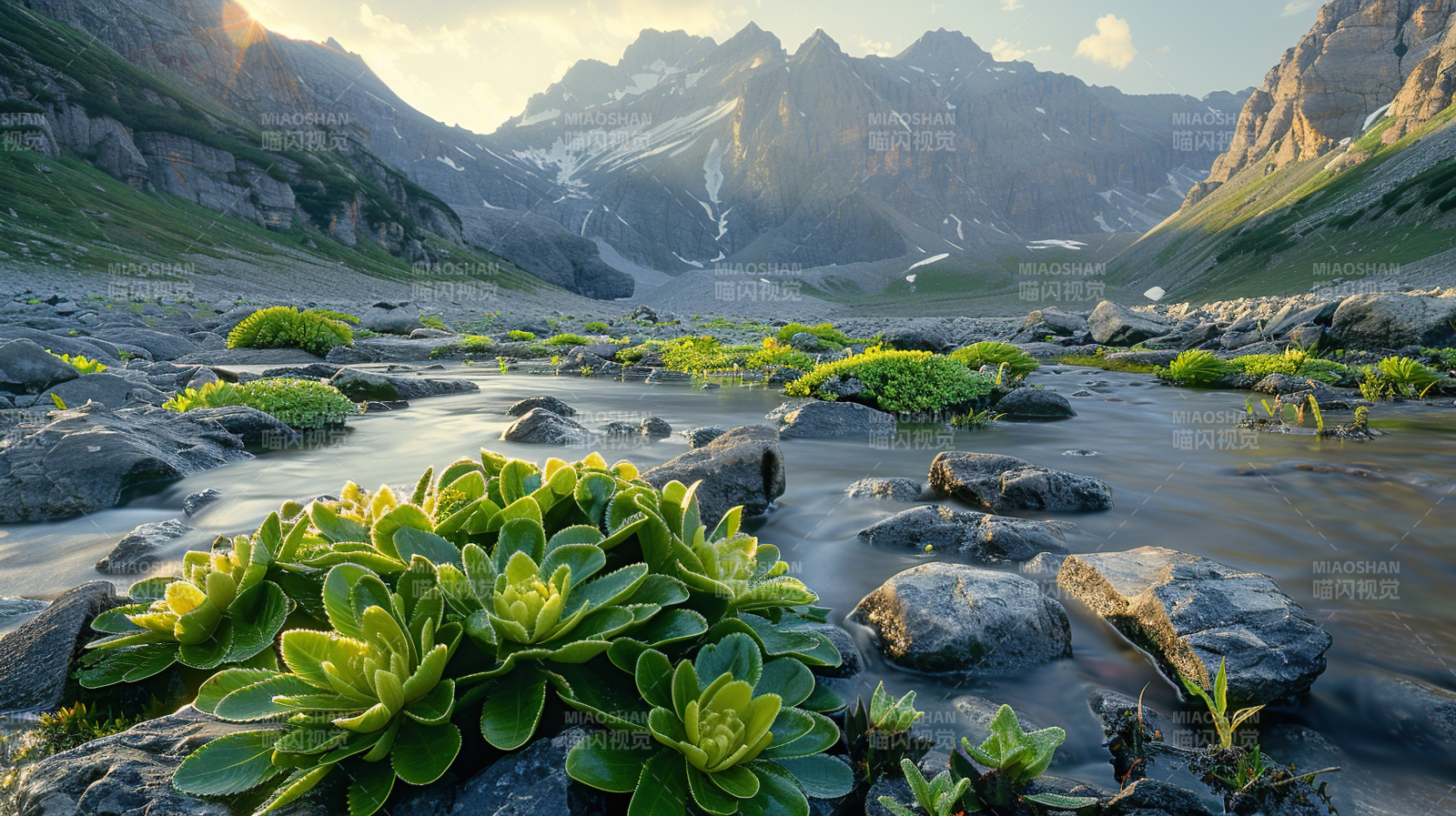 高山溪流绿植图片