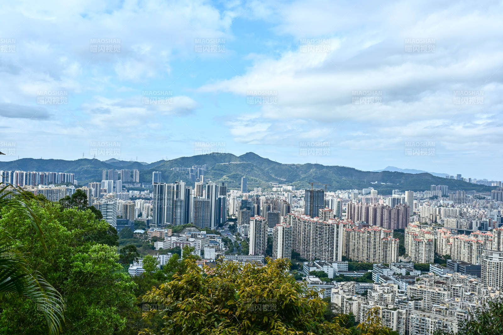 蓝天白云下的深圳求水山公园风光图片