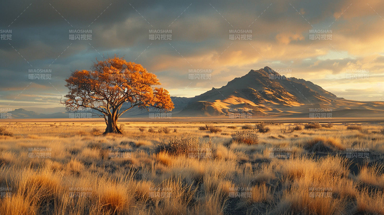 孤树映山晖图片