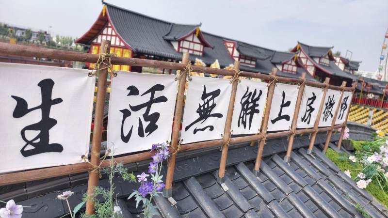 生活无解上房撒野图片