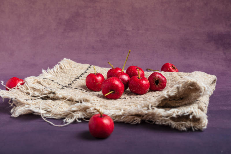 山楂静物图图片