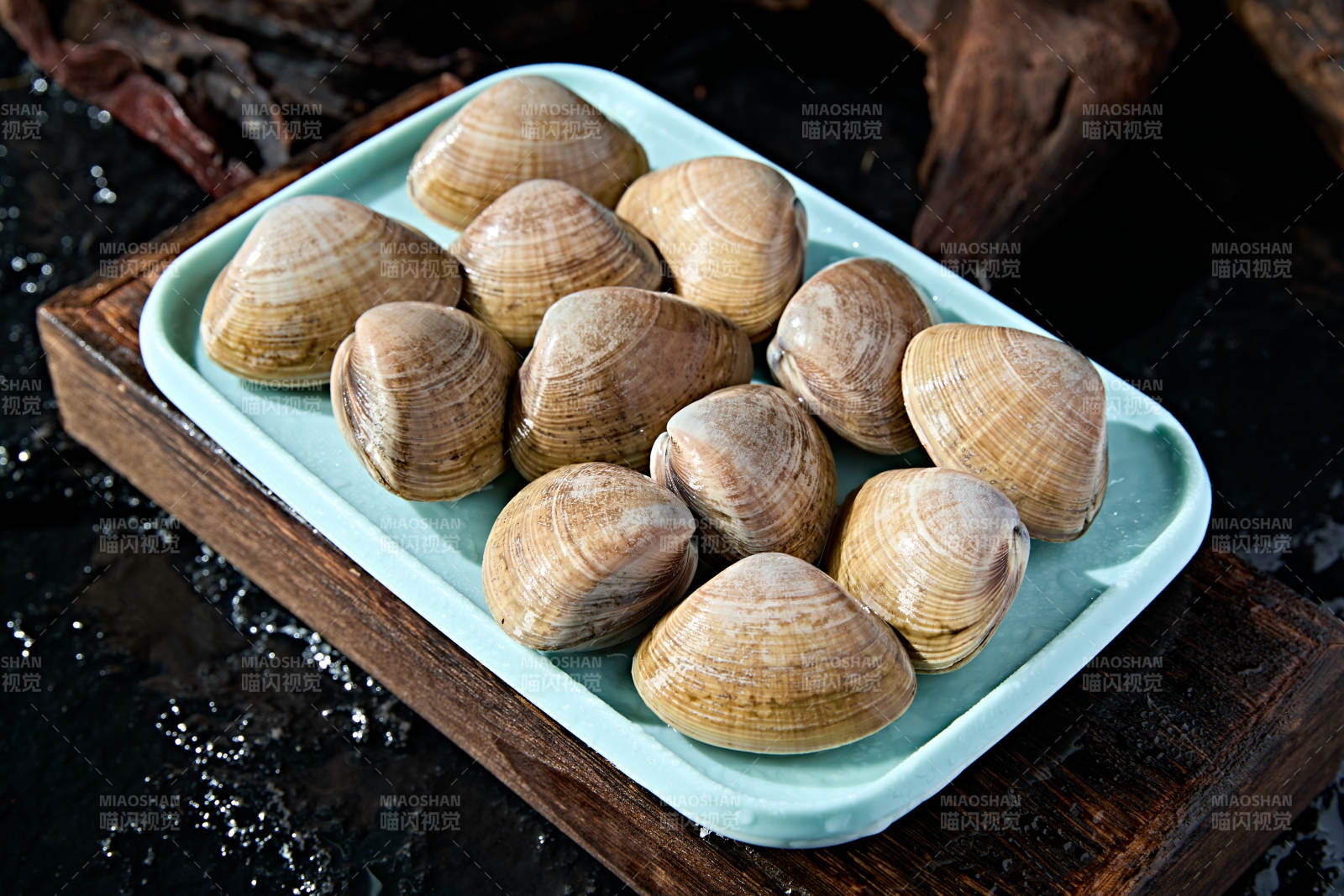 丹东烧烤传统食材鲜活黄蚬子图片