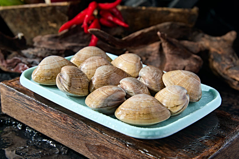 丹东烧烤传统食材鲜活黄蚬子图片