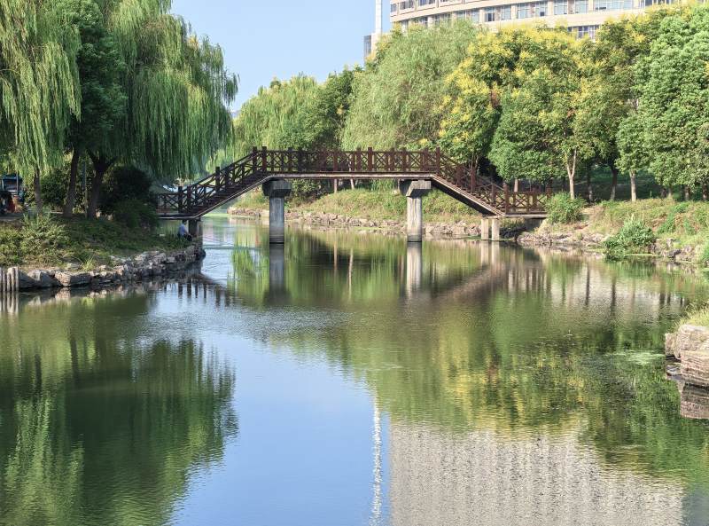 湖畔小桥绿树成荫图片