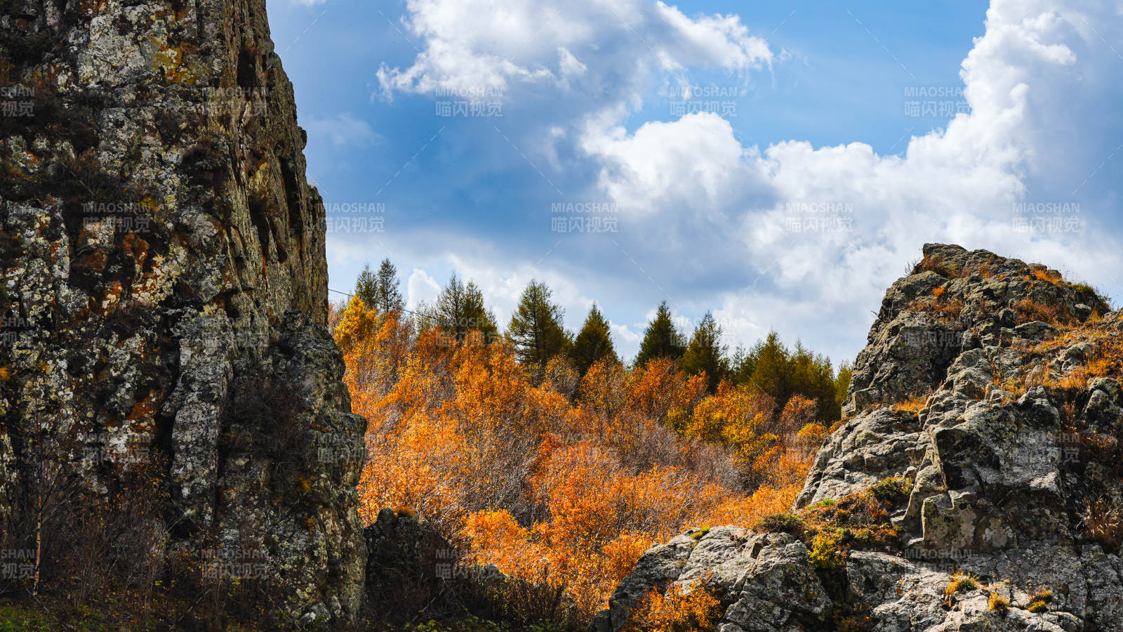 乌兰布统秋林岩壁风光图片