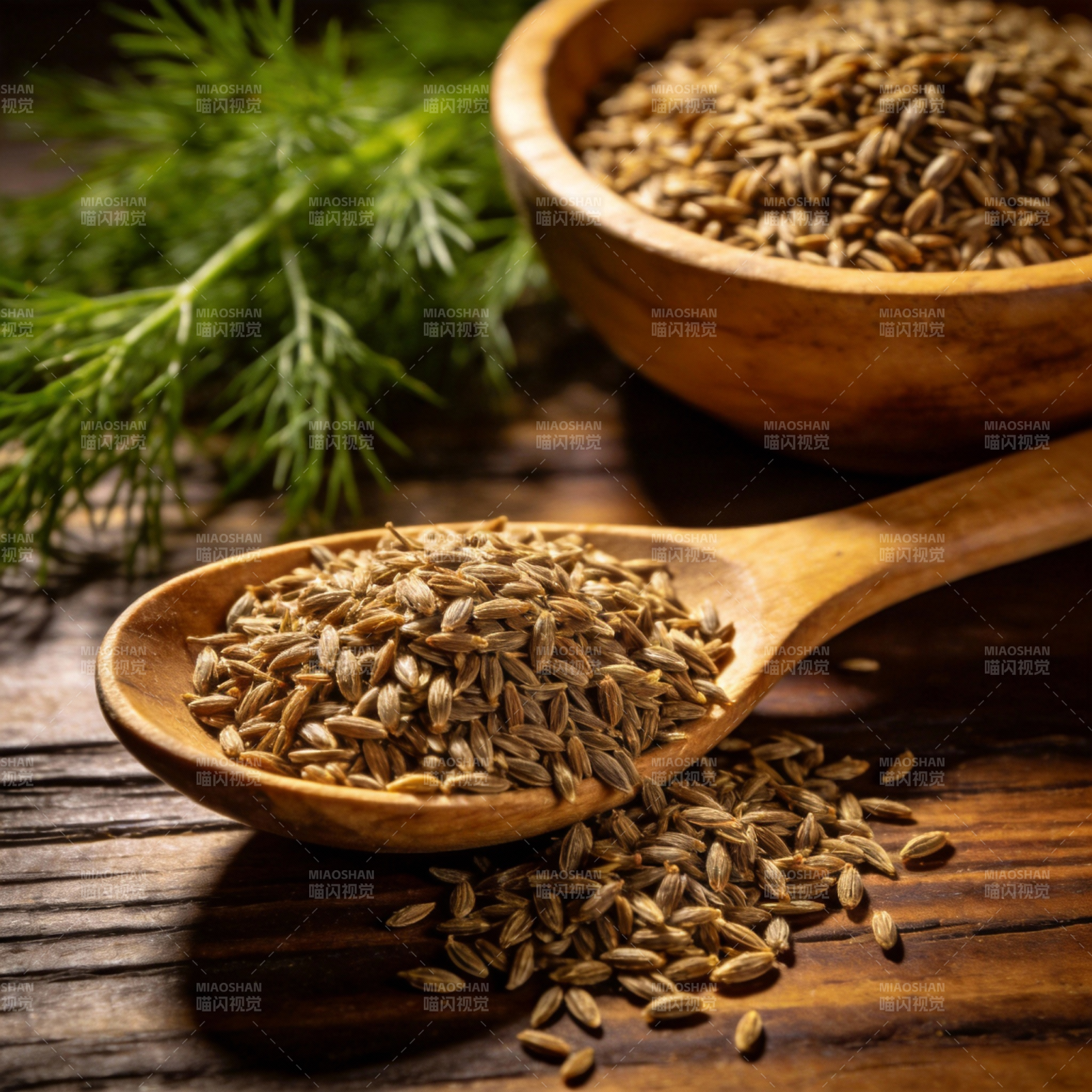 香菜籽特写图片