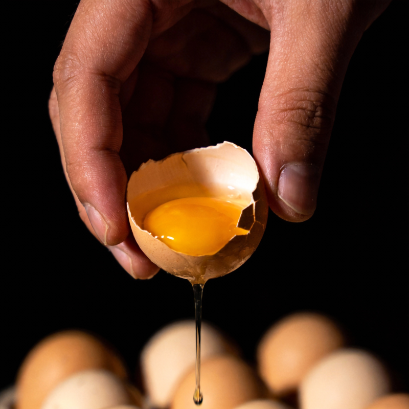 蛋黄滴落瞬间图片