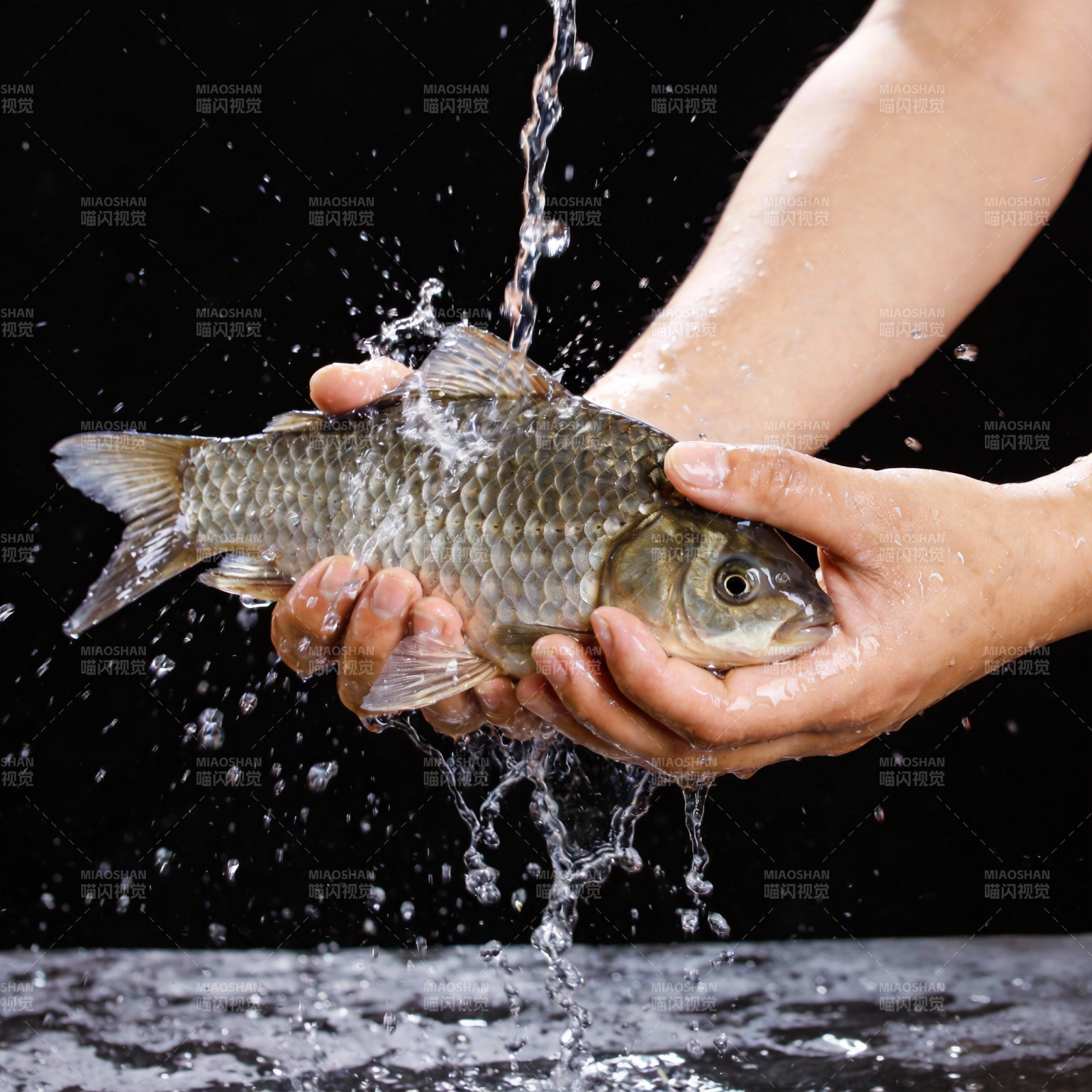 双手捧鱼 水花四溅图片